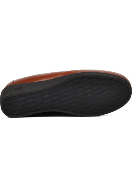 Taba Kadın Günlük Ayakkabı indirimleri