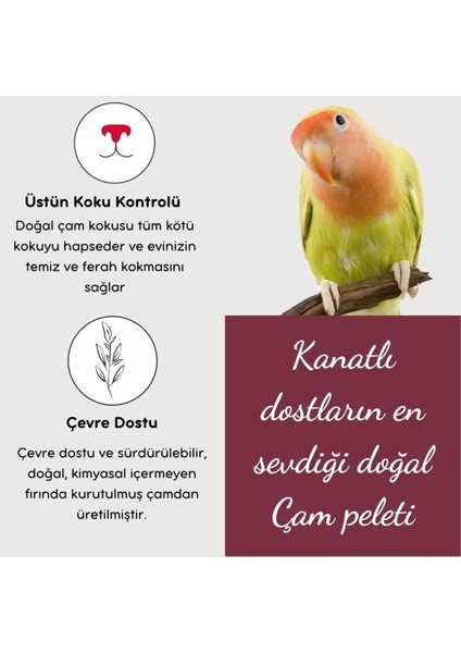 Çam Peleti Kuş Kumu Net 5 kg - 10 Lt - Topaklanmayan %100 Organik Cam Peledi Kuş Kumu