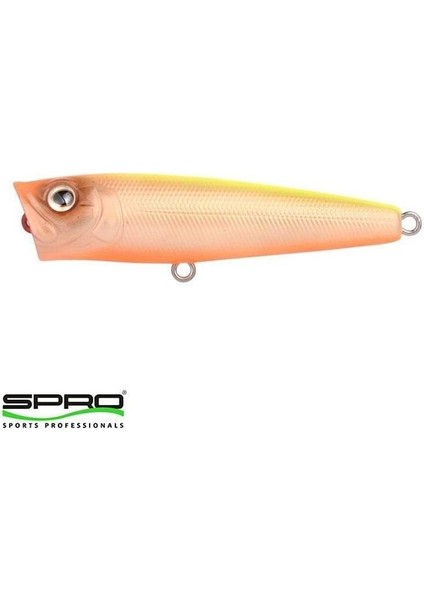 Ikiru Pop 65 Fl N Chart Back Maket Yem 1/1 modelleri