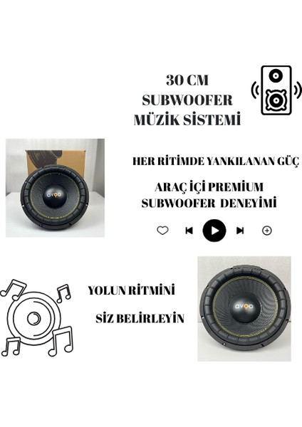 30 cm Subwoofer