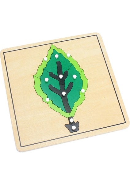 Tohum Stili Bebek Montessori Malzemeleri Ahşap Bulmacalar Eğitici Oyuncaklar Bitki Büyüme Panosu Ahşap Oyuncak Öğrenme Tangram Jigsaw Çocuklar Okul Öncesi (Yurt Dışından)