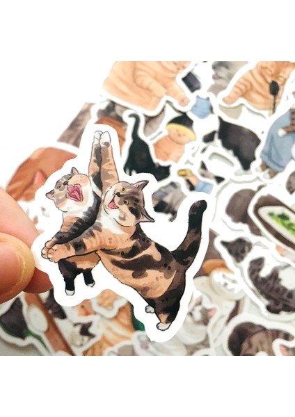 D-50 Adet Tarzı Sevimli Kediler Hayvan Grafiti Sticker Karışık Stil Oyuncaklar Bavul Laptop Bisiklet Bagaj Araba Scooter Kaykay Sticker (Yurt Dışından) fırsatları