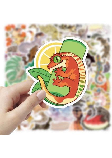 10 ADET-W1252 Tarzı Erkek Çocuklar Için Kaykay Hediye Kutusu Bisiklet Bilgisayar Defter Araba Etiket Çocuk Oyuncakları Için Komik Hayvan Keler Sticker F3 (Yurt Dışından) indirimleri