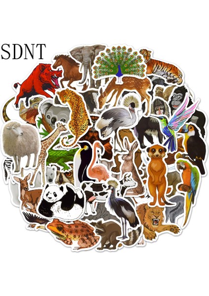 Çocuk Oyuncakları Için Komik Canlı Sevimli Hayvan Çıkartması Su Geçirmez Çıkartmalar Scrapbook Telefon Kılıfı Dizüstü Bilgisayar Gitar Için Paket (Yurt Dışından)