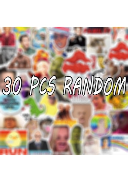 30 ADET-213 Tarzı Buzdolabı Araç Kask Hediye Kutusu Bisiklet Gitar Çıkartma Defter F5 Için Eğlenceli Graffiti Komik Meme Etiketleri Dalga Geçme (Yurt Dışından)