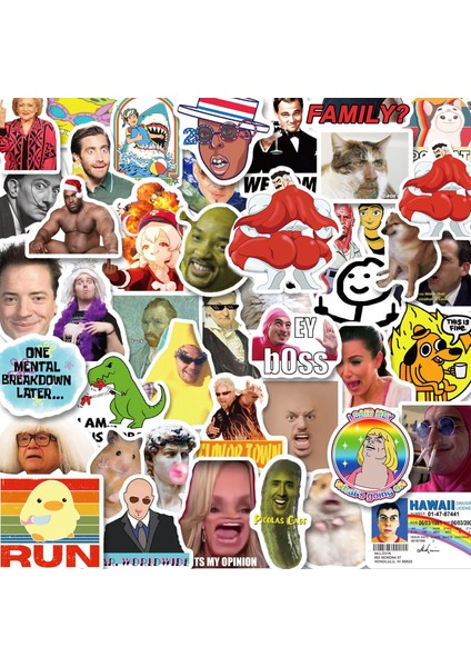 30 ADET-213 Tarzı Buzdolabı Araç Kask Hediye Kutusu Bisiklet Gitar Çıkartma Defter F5 Için Eğlenceli Graffiti Komik Meme Etiketleri Dalga Geçme (Yurt Dışından) modelleri