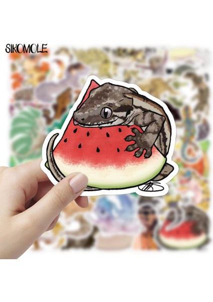 50 ADET-1252 Tarzı Pcs Gecko Karikatür Sürüngen Evcil Hayvan Stickerları Pegatinas Kaykay Etiket Bagaj Sticker Çocuk Oyuncakları F5 (Yurt Dışından) indirimleri