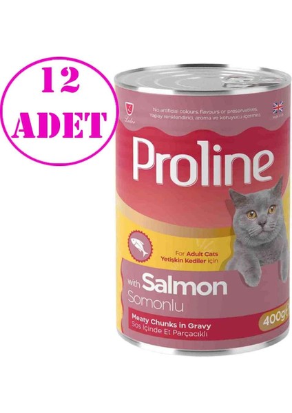 Kedi Konserve Maması Somonlu 400 gr 12 Ad