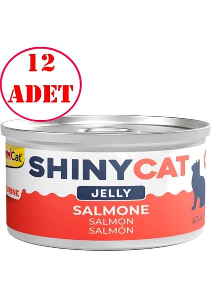 Gimcat Shinycat Kedi Konservesi Jöleli Somon Balıklı 70 gr 12 Ad