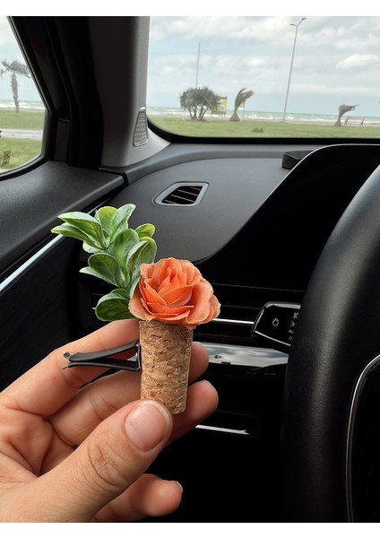 Araç Dikiz Aynası Süsü ve Oto Koku Seti |siyah Düş Kapanı+Mini Dekoratif Saksı Koku Difüzörü indirimleri