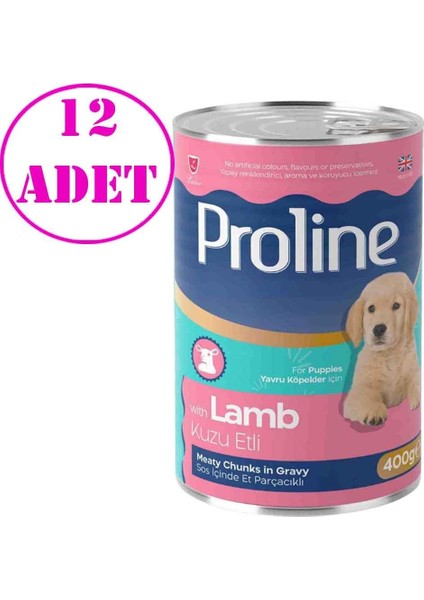 Pro Line Kuzu Etli Yavru Köpek Konserve Maması 400 gr 12 Ad