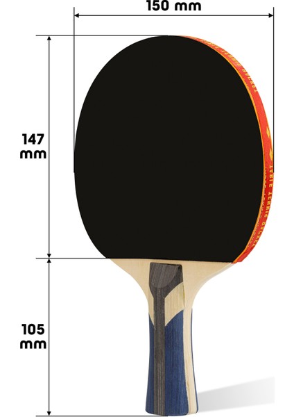 4lü Çantalı Masa Tenisi Raketi Seti Amatör Başlangıç Seviye Maç Raketi 2 Raket 2 Top fırsatları