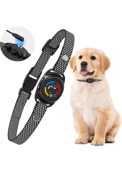 Tıze Köpek Eğitim Tasması Şarjlı, Uyarı Seçimli, Renkli Ekran, Su Geçirmez