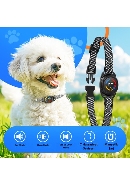 Tıze Köpek Eğitim Tasması Şarjlı, Uyarı Seçimli, Renkli Ekran, Su Geçirmez