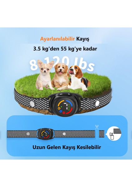 Tıze Köpek Eğitim Tasması Şarjlı, Uyarı Seçimli, Renkli Ekran, Su Geçirmez