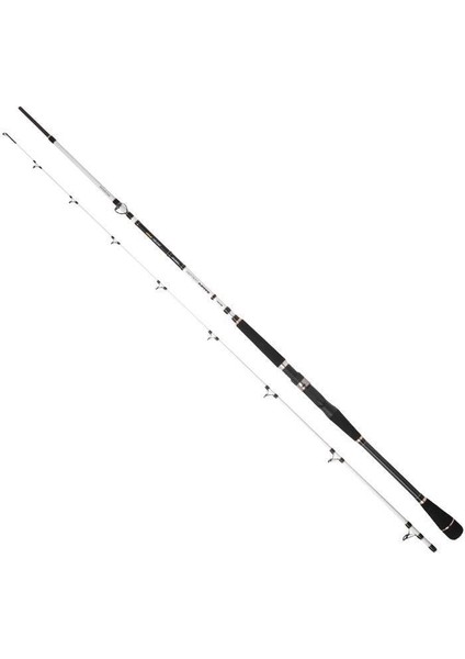 Salty Beast Nano Heavy Jig Bv 240 cm 250G Aksiyonlu Tekne Kamışı fiyatları