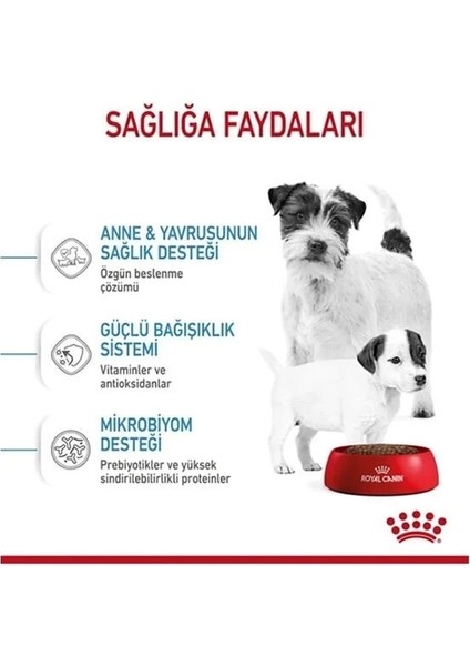 Royal Canin Mini Starter Anne ve Yavru Köpek Maması 4 kg