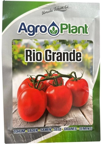 Rio Grande Domates Tohumu 25GR