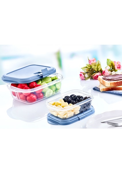 Bas Aç Push Up Dikdörtgen Saklama Kabı 0,4 Lt 10,5 x 16,7 x 4,8 cm ROYALEKS-81925