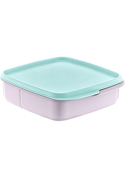 Bölmeli Saklama Kabı ROYALEKS-AK540