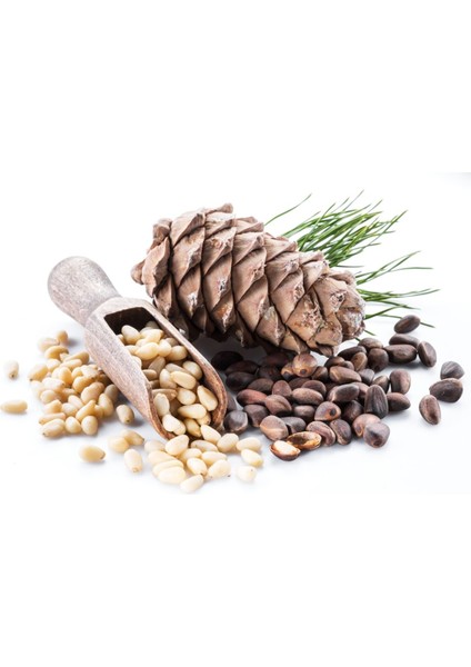 Çam Fıstığı Deluxe Seri Lezzetli 50 gr