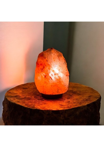 Dekoratif Himalaya Tuz Lambası