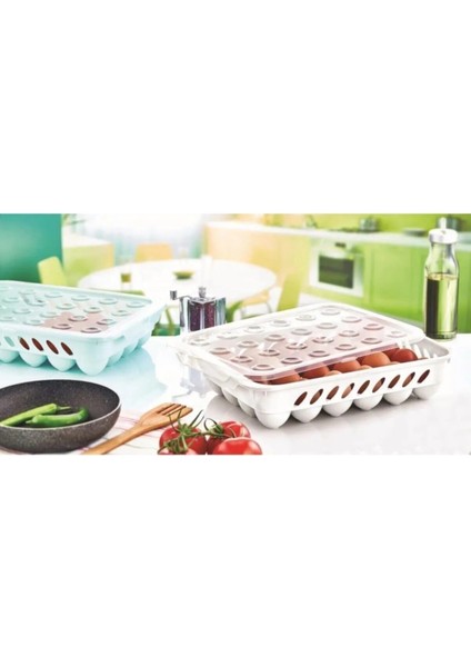 Yumurta Saklama Kabı 24'lü ROYALEKS-ÇNK2355 fiyatları