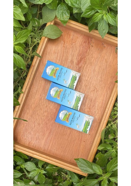 Kefir Mayası Probiyotik