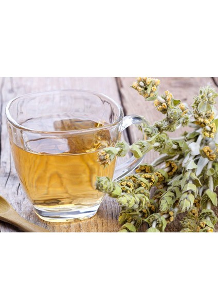 Taze Dökme Adaçayı 250 gr fiyatları