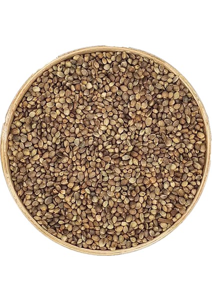 Kendir Tohumu Çedene Deluxe Seri Lezzetli 250 gr