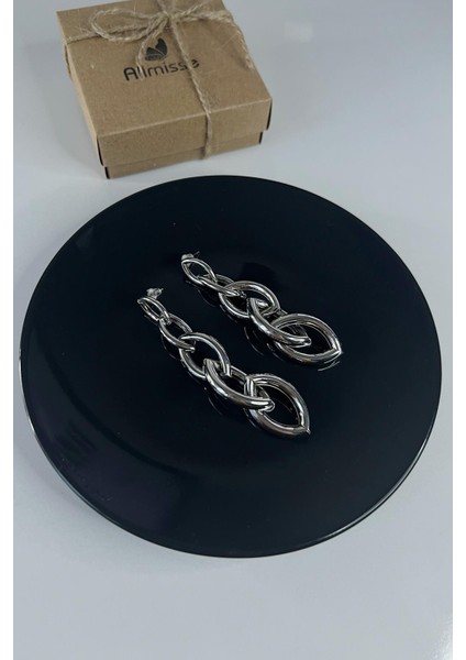 Silver Iç Içe Geçmeli Elips Model Sallantılı Çelik Küpe
