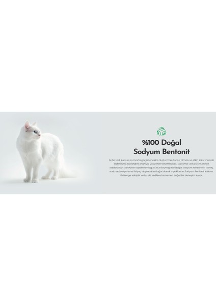 Sandy Max Triple Action Tozsuz Topaklanan Bentonit Doğal Kedi Kumu 10 kg