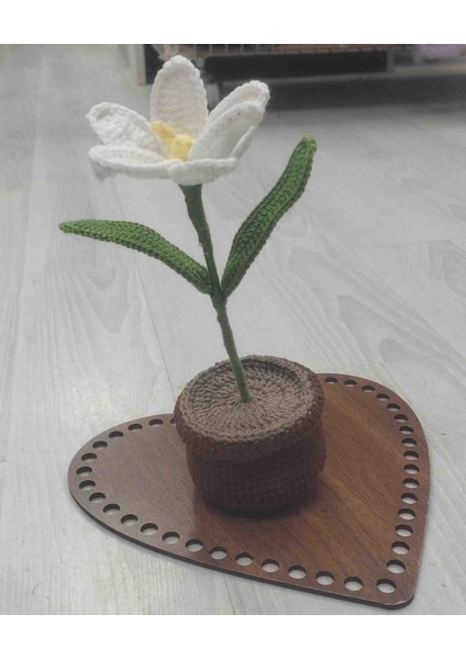 El Örgüsü Çiçek fırsatları