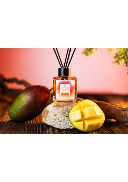 Bambu Çubuklu Oda Kokusu – Mango 110 ml