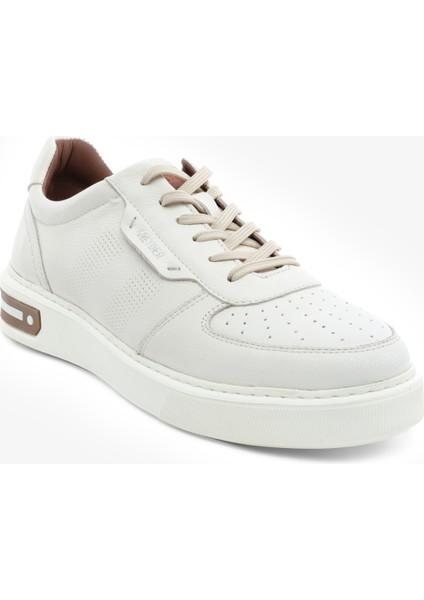 5Y1SA14810-14810 Mr Sneaker Ayk