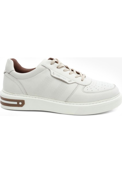 5Y1SA14810-14810 Mr Sneaker Ayk
