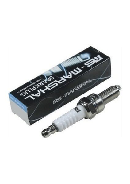 Buji Bws 100