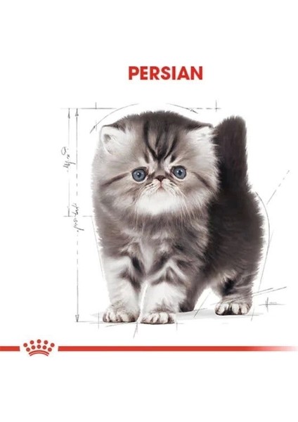 Royal Canin Persian Kitten Yavru Iran Kedisi Maması 2 kg modelleri