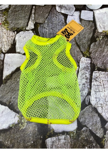 Filet-Shirt Yeşil Kedi Köpek Kıyafeti fiyatları