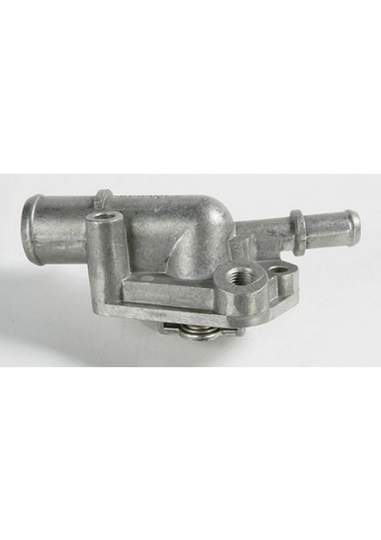 Termostat (Palio-Siena 1.4) Gnzrz