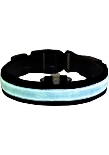 Petzz Işıklı Ayarlanabilir Flaşörlü Kedi ve Köpek Boyun Tasması Mavi 45-52 cm / 2.5 cm
