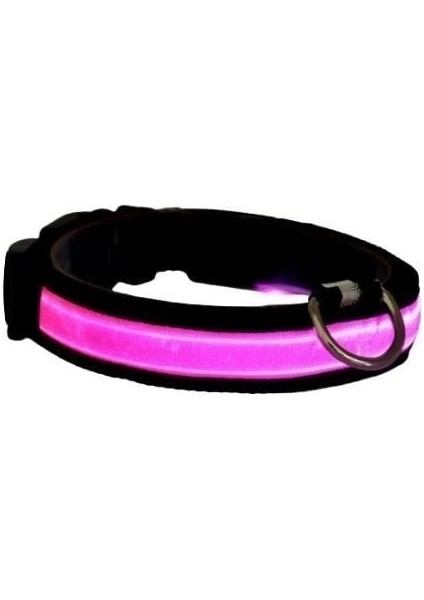 Petzz Işıklı Ayarlanabilir Flaşörlü Kedi ve Köpek Boyun Tasması Pembe 40-48 cm / 2.5 cm
