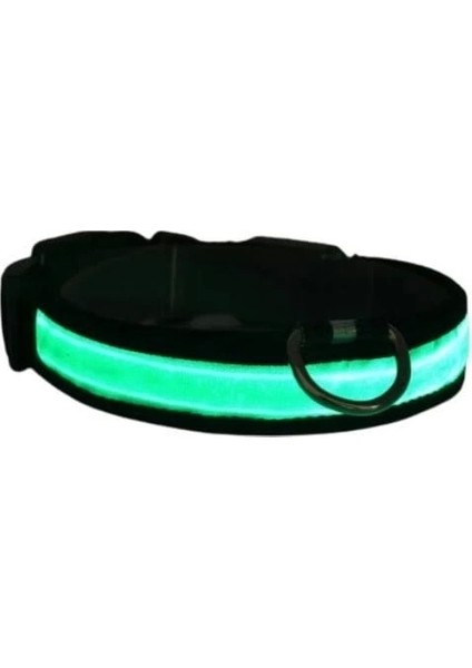 Petzz Işıklı Ayarlanabilir Flaşörlü Kedi ve Köpek Boyun Tasması Yeşil 45-52 cm / 2.5 cm