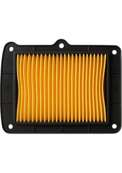 Hava Filtresi Rks Premium 125