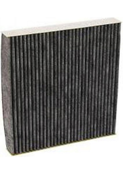 Polen Filtresi Citroen C5, Citroen Berlingo Ii, Peugeot Partner (Karbonlu) Gnzrz