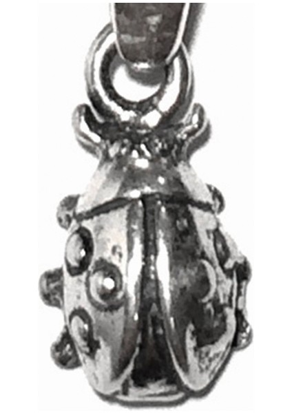 Takı Yapımı 2 Adet 925 Ayar Gümüş Uç Uç Böceği Charm 14 mm 2 Gram No. 3939