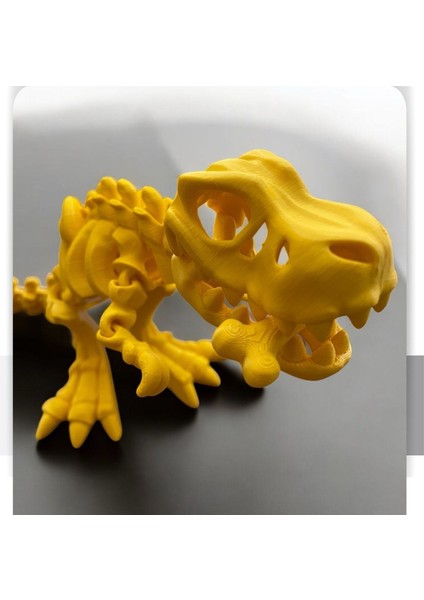Sevimli Iskelet Trex - Hareketli Organik Oyuncak - 3D Baskı - Dinazor Çok Renkli 30CM Boyunda