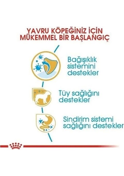 Royal Canin Poodle Junior Yavru Köpek Maması 3 kg