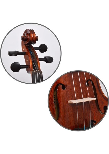 Dominguez Profesyonel Keman 1/2 DVPG12-P1 modelleri