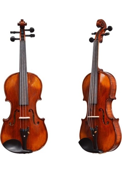 Dominguez Profesyonel Keman 1/2 DVPG12-P1 fırsatları